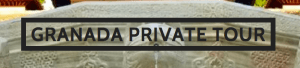 www.granadaprivatetour.com